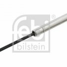 FEBI 31679 Gas Spring, boot-/cargo area for AUDI