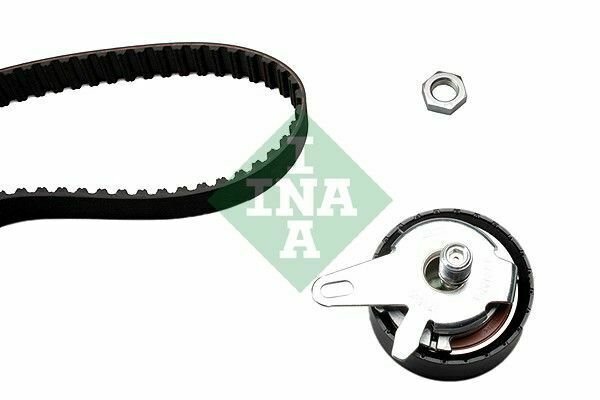 INA 530020210 Timing Belt Set for AUDI, SKODA, VW