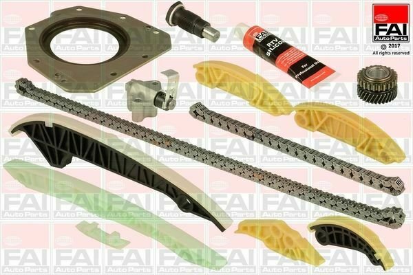 FAI AUTOPARTS TCK223L Timing Chain Kit for SKODA, VW