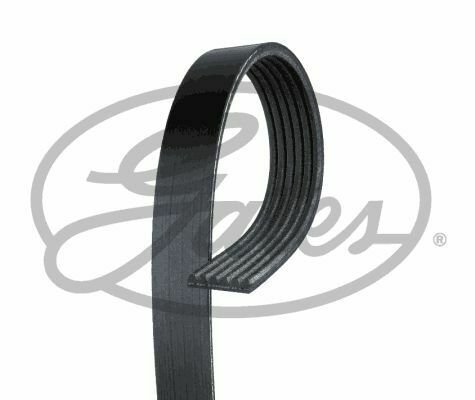 GATES 6PK2260 V-Ribbed Belts for AUDI, DODGE, JEEP, MAZDA, MERCEDES-BENZ, OPEL,