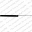 KILEN 412019 Gas Spring, boot-/cargo area for AUDI