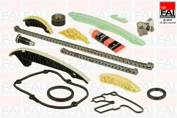 FAI AUTOPARTS TCK248 Timing Chain Kit for AUDI, VW