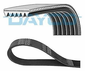 DAYCO 6PK1625 V-Ribbed Belts for AUDI, CITRO&Atilde;�N, VOLVO, VW