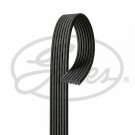 GATES 7DPK1880 V-Ribbed Belts for BMW