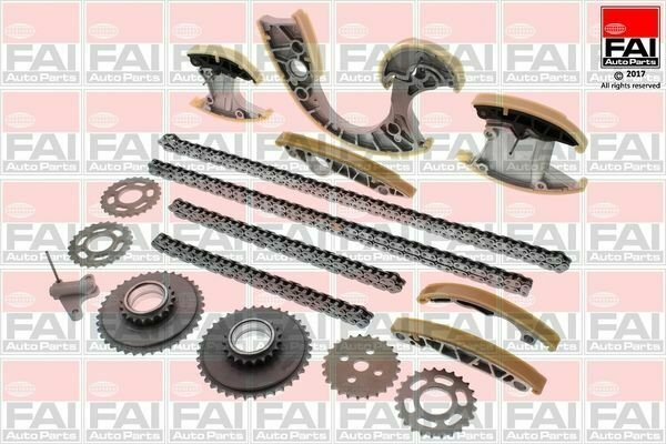 FAI AUTOPARTS TCK219NG Timing Chain Kit for AUDI, VW