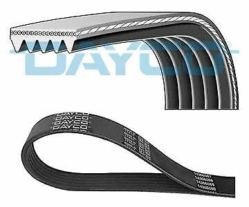 DAYCO 5PK1065 V-Ribbed Belts for AUDI, FIAT, MAZDA, MITSUBISHI, TOYOTA, VW