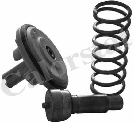 VERNET TH6965.87 Thermostat, coolant for VW