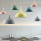 Nordic Wood Pendent Light Modern Lamp || Dining Room Lamp || Ceiling Lamp