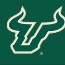 South Florida Bulls Sport Banner Flag 3x5 ft