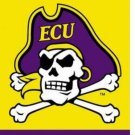 East Carolina Pirates Banner Flag 3x5 ft