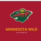 Minnesota Wild flag Polyester 3x5 ft 100D