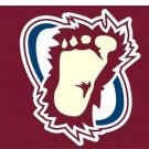 Colorado Avalanche Polyester flag 3x5 ft