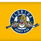 Florida Panthers Flag 3x5 ft 150X90CM Banner 100D