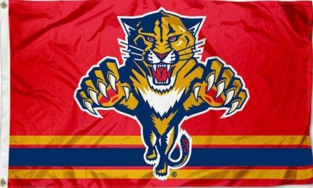 Florida Panthers Flag 3x5 ft 150X90CM Banner 100D Polyester flag