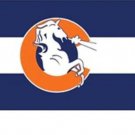 Denver Broncos Logo Flag Banner 3x5 ft