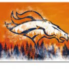 Denver Broncos American Football Banner Flag 3x5 ft