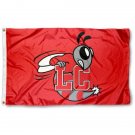 Lynchburg Hornets Flag 3x5 ft