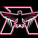 Atlanta Falcons 100D Polyester Banner Flag 3x5 ft