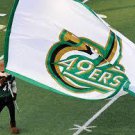 Charlotte 49ers Flag 3x5 ft