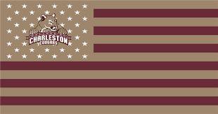Charleston Cougars Flag 3x5 ft