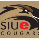 Southern Illinois Edwardsville Cougars Banner 3x5 ft flag