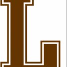 Lehigh Mountain Hawks Logo Sport Flag 3x5 ft