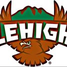 Lehigh Mountain Hawks Logo College Flag 3x5 ft