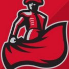 Cal State Northridge Matadors Sport Flag 3x5 ft