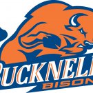 Bucknell Bison Flag 3x5 ft Club Basketball