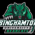 Binghamton Bearcats Hand Flag 3x5 ft