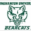 Binghamton Bearcats Hand Flag 3x5 ft