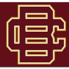 Bethune Cookman Wildcats Flag 3x5 ft