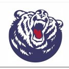Belmont Bruins Flag 3x5 ft