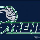 Ave Maria University Gyrenes Flag 3x5 ft