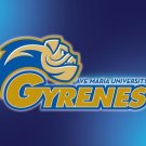 Ave Maria University Gyrenes Flag 3x5 ft