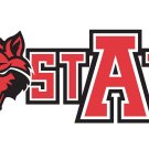 Arkansas State Red Wolves Hand Flag 3x5 ft Club