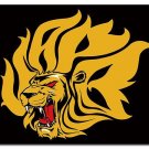 Arkansas Pine Bluff Golden Lions flag 3x5 ft