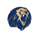 Arkansas Fort Smith Lions flag 3x5 ft