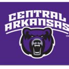 Central Arkansas Bears Bear Head Flag 3x5 ft