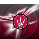 Toronto Raptors custom flag 3x5 ft
