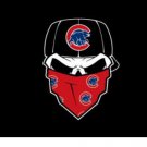 Chicago Cubs Skull Bandana Banner flag 3x5 ft