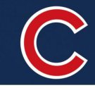Champions Chicago Cubs Banner flag 3x5 ft