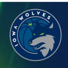 Minnesota Timberwolves custom flag 3x5 ft
