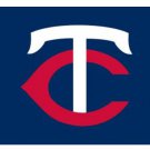 Minnesota Twins Logo Banner flag 3x5 ft