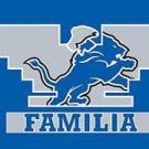 Detroit Lions Familia flag 3x5 ft