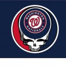Washington Nationals Dead Skull Banner flag 3x5 ft