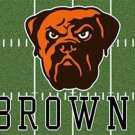 Cleveland Browns Green 3x5 ft team flag