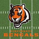 Cincinnati Bengals Green Flag 3x5 ft