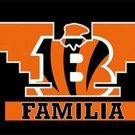 Cincinnati Bengals Familia Flag 3x5 ft
