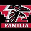 Atlanta Falcons Banner Familia Flag 3x5 ft